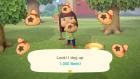 Given the cute nature of Animal Crossing