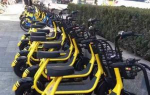 Innovative development history of public electric bicycles