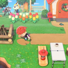 Animal Crossing: \"Ring Cosplay\" in New Horizons