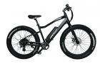 The main components of public electric bikes